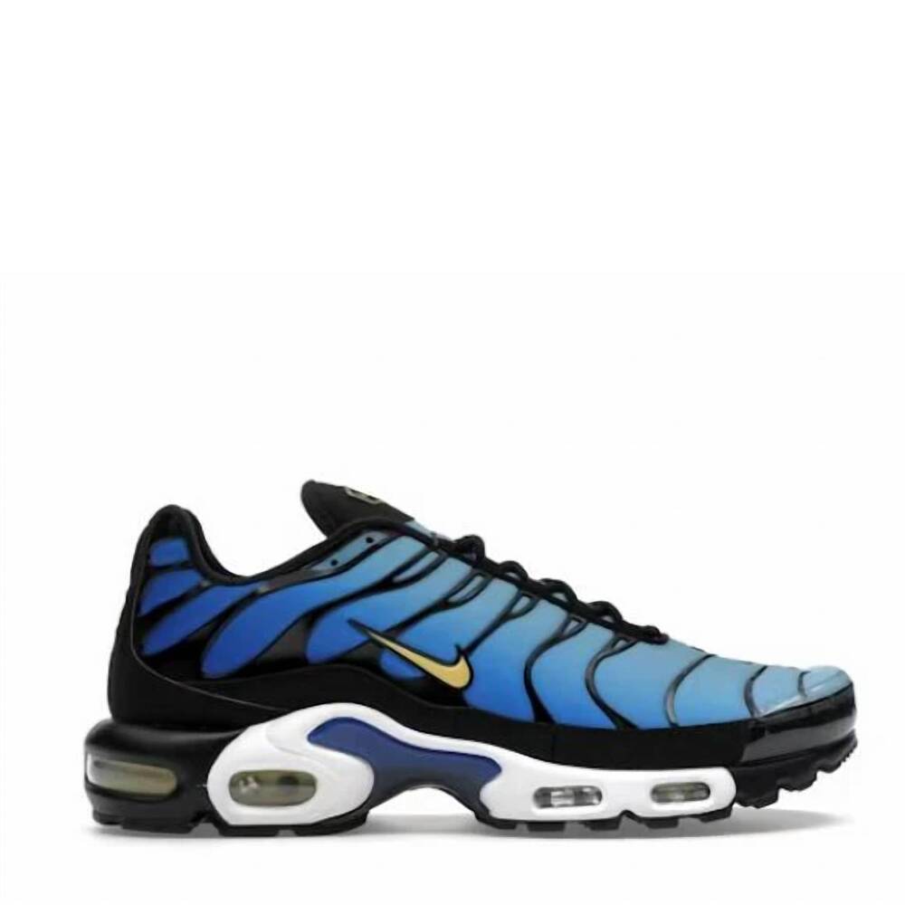 NEW NIKE big kids' air max plus sneaker in black/skyblue chamois